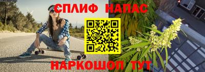 гидра Кизляр